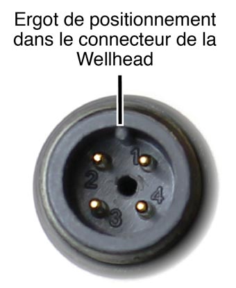 Ergot De Positionnementdans Le Connecteur De Lawellhead ergot de positionnementdans le connecteur de lawellhead